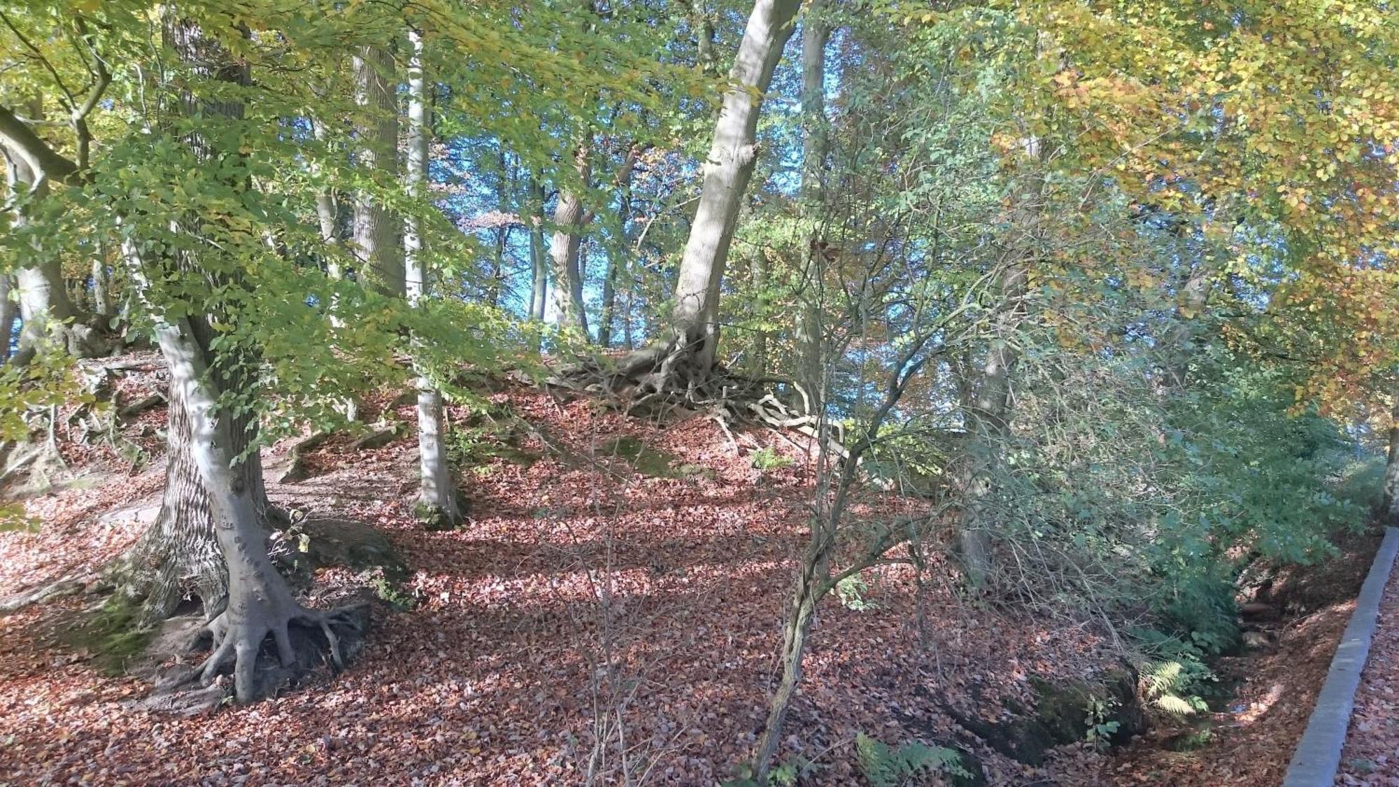 Mobilheim Am See Wittenborn Exteriör bild