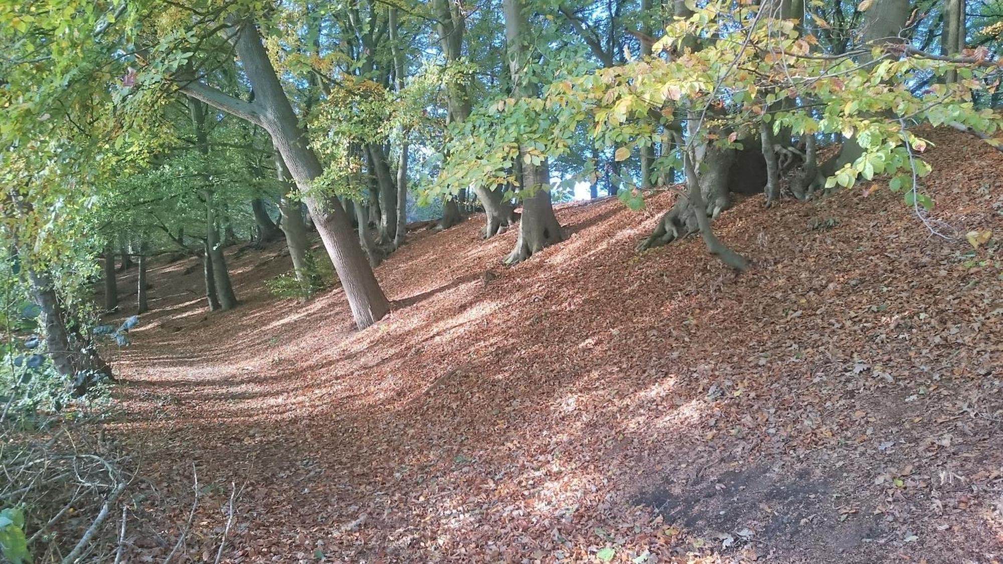Mobilheim Am See Wittenborn Exteriör bild
